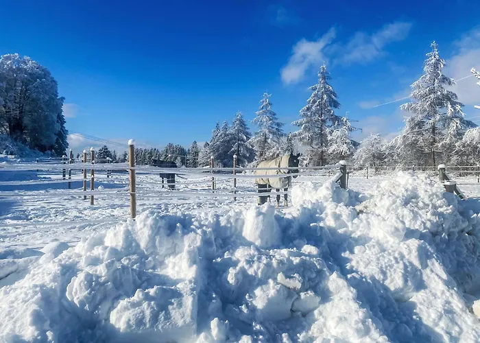 Alpenlodge Geissstein By Interhome Apartment Lechbruck
